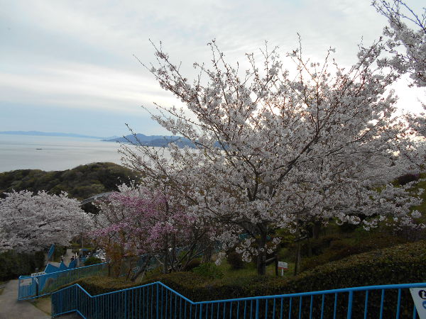 �{���R��V��(2016.4����1�T)