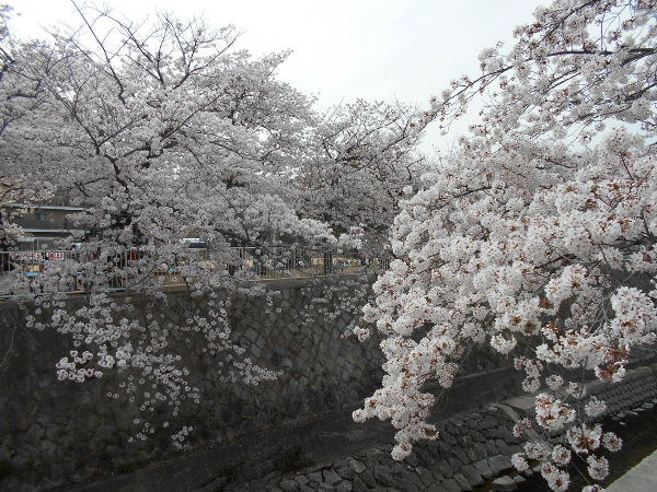 ���@�������(2016.4����1�T)