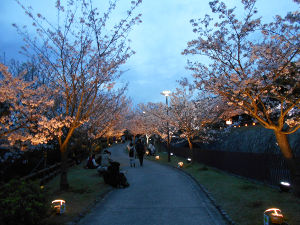 �{���Y����(2016.4����1�T)