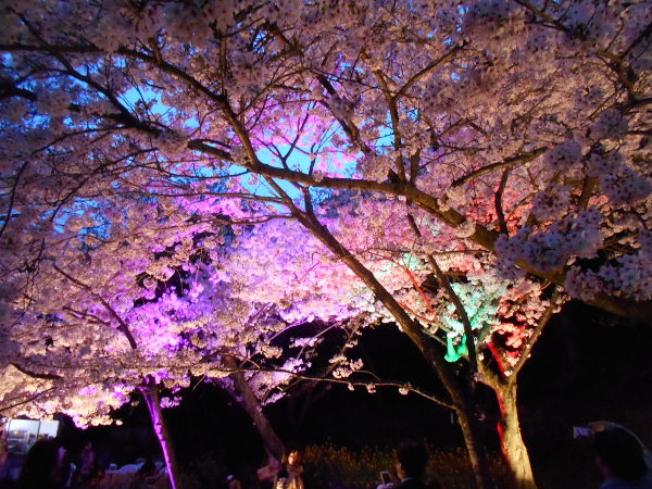 �{���Y����(2016.4����1�T)