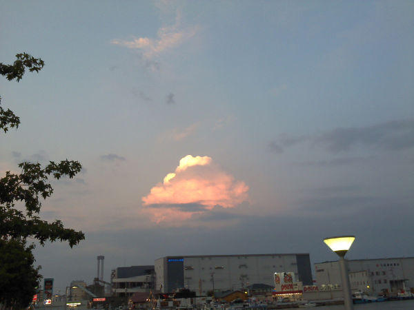 �����_�̗[�Ă�