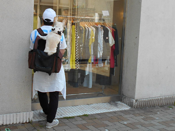 �u�����v�_�t���E�p�[�g�i�[