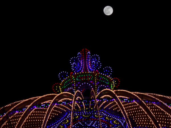 �����ƃ��~�i���G