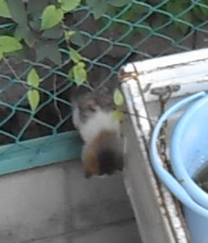 �L���D���������j