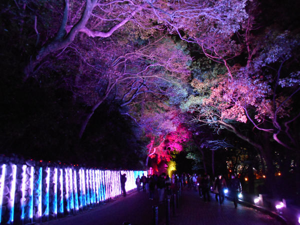 �{���Y�����E�֐����