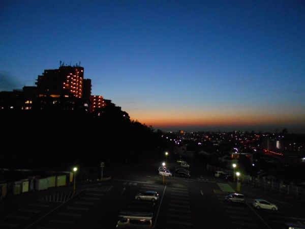 �G�X�p���ˑ䂩��̏���