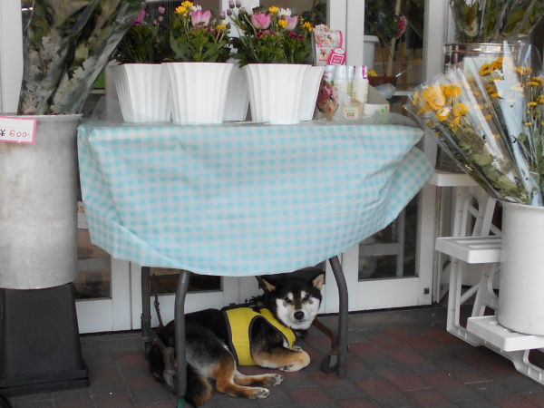 �����D���������j