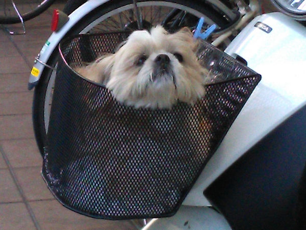 �����D���������j