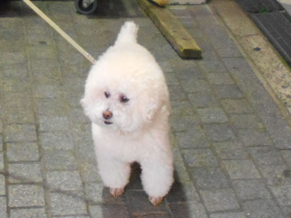 �����D���������j