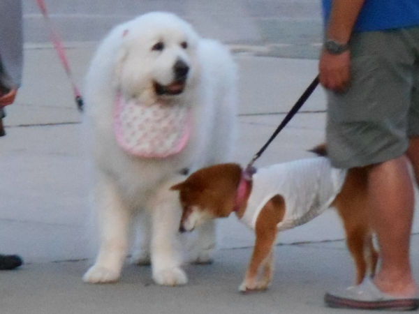 �����D���������j