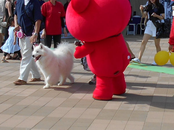 �����D���������j