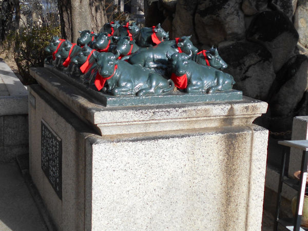 �j�~�V���{�̋����񂽂�