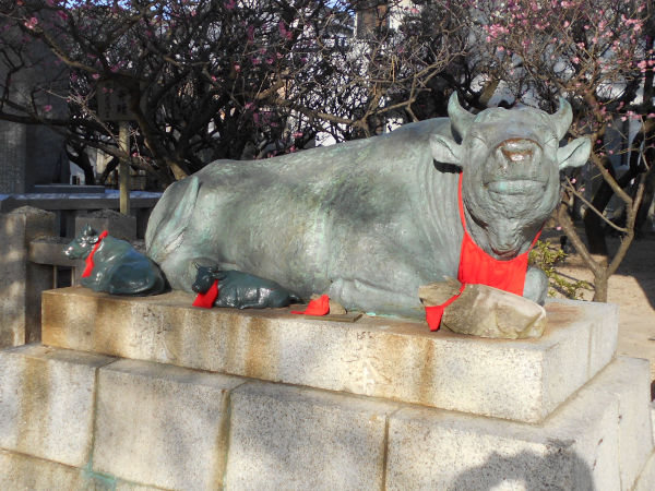 �j�~�V���{�̋����񂽂�