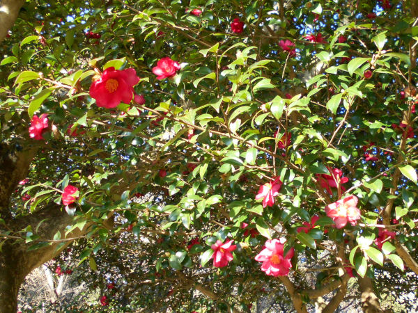 �ۋv�ǔ~�т��M��