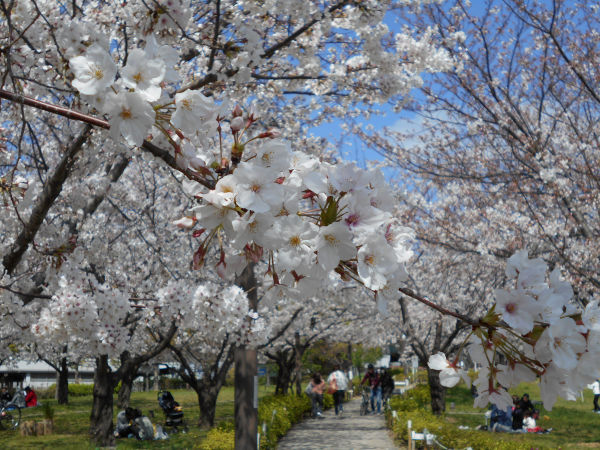 ������͌������̍�