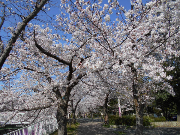 ���@����̍�