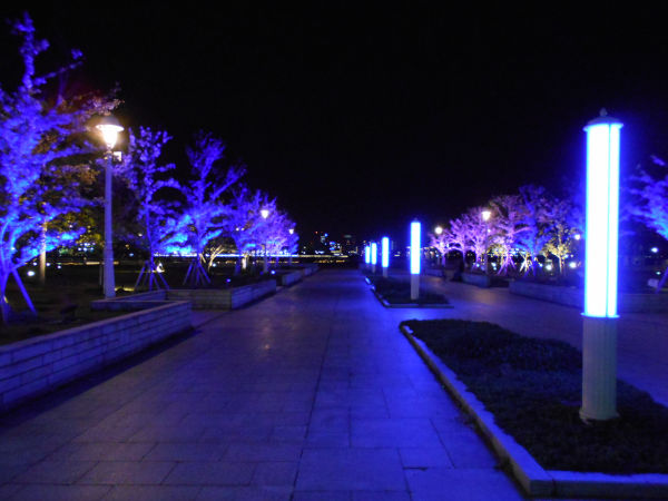 �����P���p�[�N�̖��