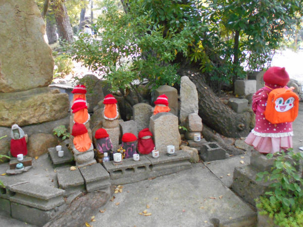 �g��̎P�n��