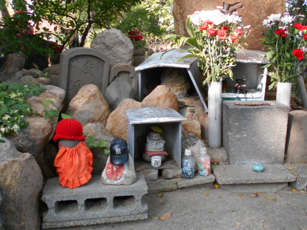 �g��̎P�n��