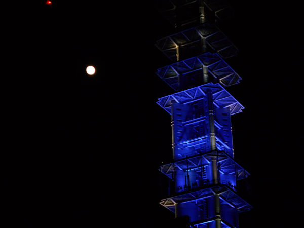 �����؂̖�