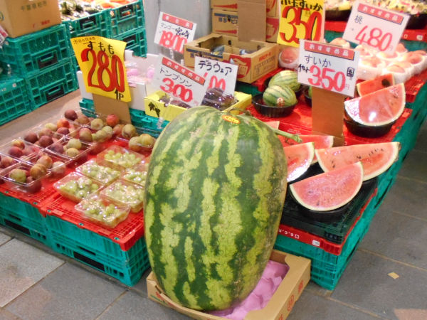 ����X�C�J