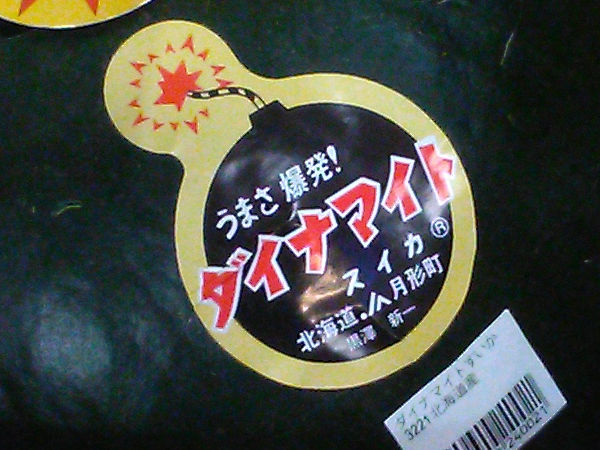 �_�C�i�}�C�g������