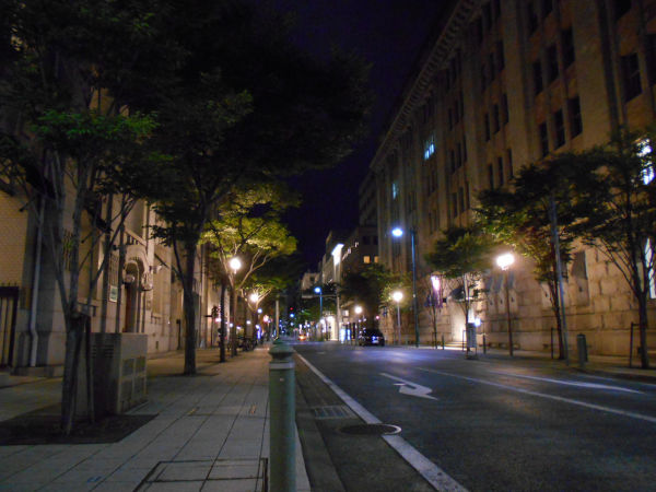 �������n�̖�