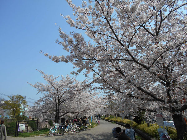 �s������