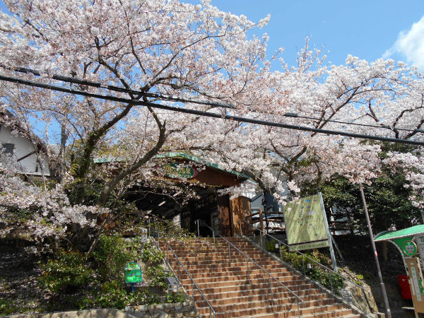 ����P�[�u�����w