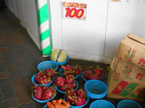 �h���S���t���[�c