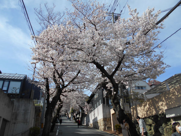 ����P�[�u�����E���̃g���l��