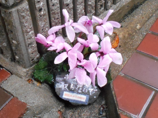 �쐶�̃Z�b�R�N(������)