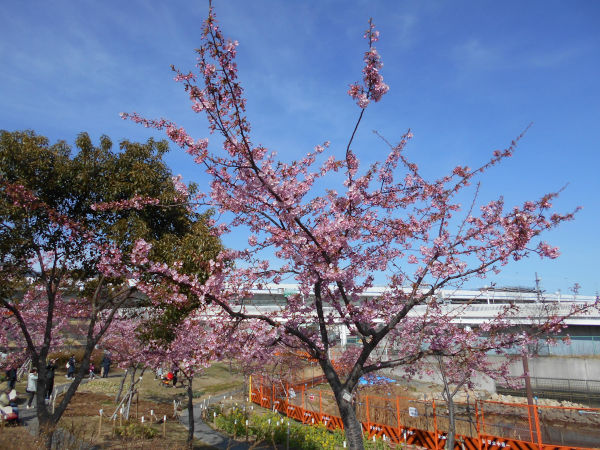 ������͌������̉͒Í�