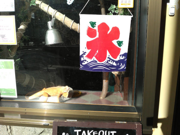 �ẴC�O�A�i