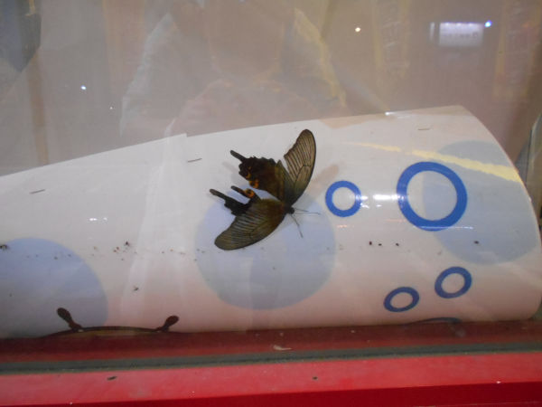 �N���A�Q�n