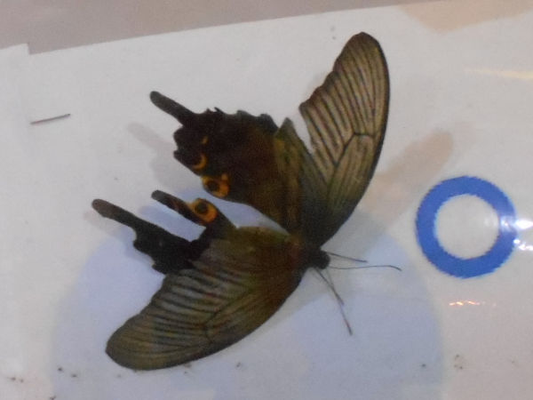 �N���A�Q�n