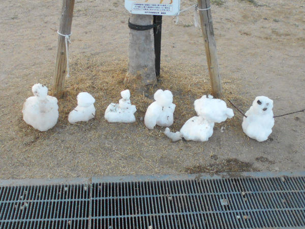 ��������̐Ⴞ���