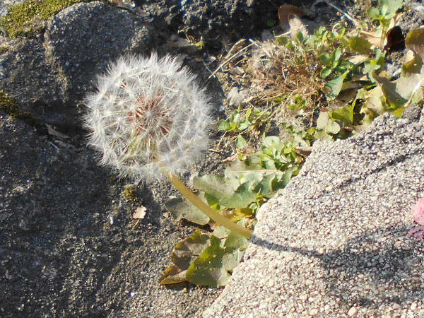 ����ۂۂ̎�