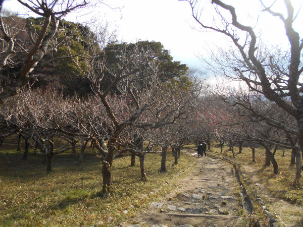 �ۋv�ǔ~�т̔~