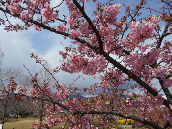 ������͌������̉͒Í�