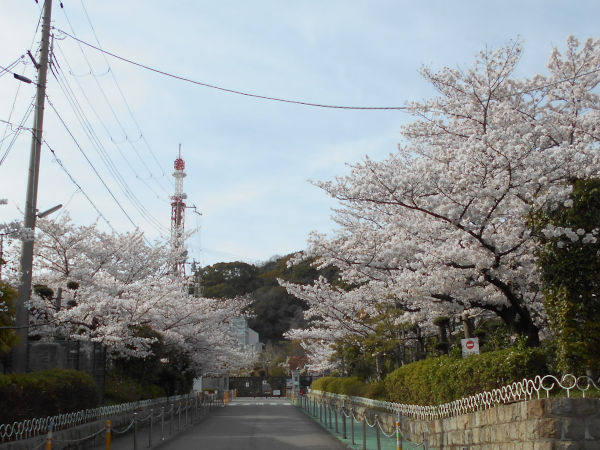 ���E���̉Ȋw�����ق̍�