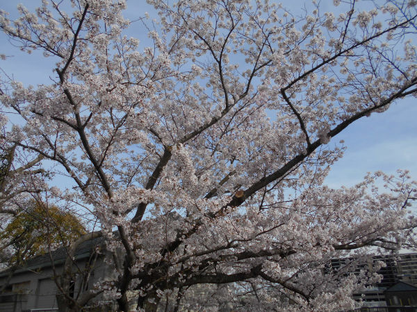 ���E���̉Ȋw�����ق̍�