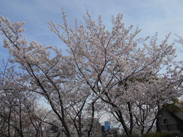 ���E���̉Ȋw�����ق̍�