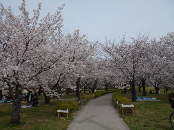 ������͌������̍�