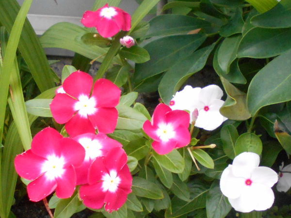 �j�`�j�`�\�E