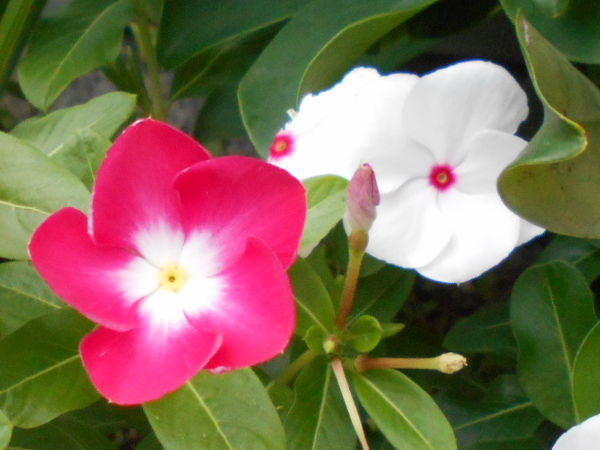 �j�`�j�`�\�E