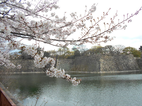 �������(2016.4����1�T)