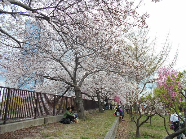 �������(2016.4����1�T)