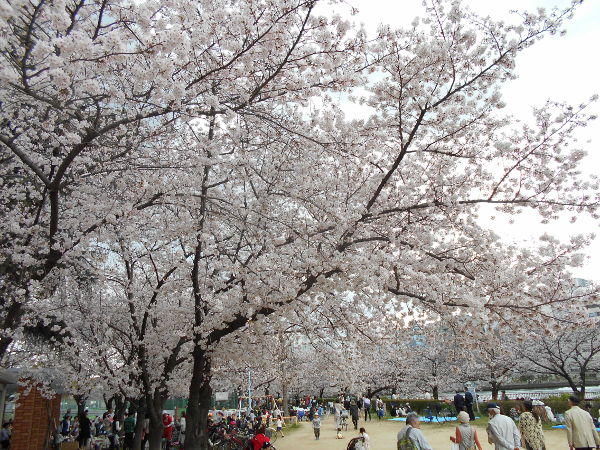 ��V������(2016.4����1�T)