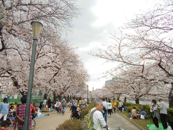 ��V������(2016.4����1�T)